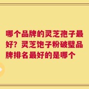 哪个品牌的灵芝孢子最好？灵芝饱子粉破璧品牌排名最好的是哪个