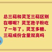 总三萜和灵芝三萜区别在哪呢？灵芝孢子粉吃了一年了，灵芝多糖、三萜成份含量双高吗