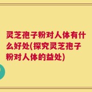 灵芝孢子粉对人体有什么好处(探究灵芝孢子粉对人体的益处)