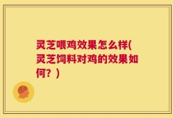 灵芝喂鸡效果怎么样(灵芝饲料对鸡的效果如何？)