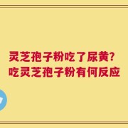 灵芝孢子粉吃了尿黄？吃灵芝孢子粉有何反应