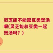灵芝能不能跟豆类煲汤呢(灵芝能和豆类一起煲汤吗？)