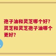 孢子油和灵芝哪个好？灵芝和灵芝孢子油哪个更好？