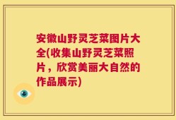 安徽山野灵芝菜图片大全(收集山野灵芝菜照片，欣赏美丽大自然的作品展示)