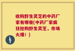 收购野生灵芝的中药厂家有哪些(中药厂家疯狂抢购野生灵芝，市场火爆！)