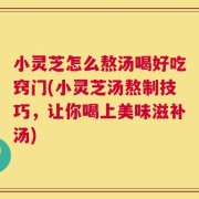 小灵芝怎么熬汤喝好吃窍门(小灵芝汤熬制技巧，让你喝上美味滋补汤)