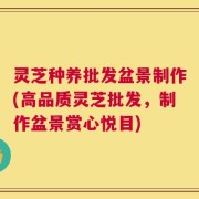 灵芝种养批发盆景制作(高品质灵芝批发，制作盆景赏心悦目)