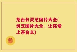 茶台长灵芝图片大全(灵芝图片大全，让你爱上茶台长)