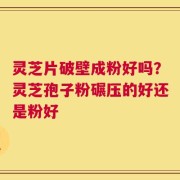 灵芝片破壁成粉好吗？灵芝孢子粉碾压的好还是粉好