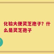 化验大便灵芝孢子？什么是灵芝孢子