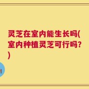 灵芝在室内能生长吗(室内种植灵芝可行吗？)