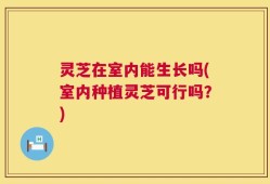 灵芝在室内能生长吗(室内种植灵芝可行吗？)