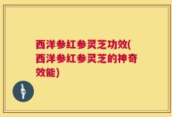 西洋参红参灵芝功效(西洋参红参灵芝的神奇效能)