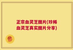 正宗血灵芝图片(珍稀血灵芝真实图片分享)