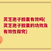 灵芝孢子胶囊有效吗(灵芝孢子胶囊的功效及有效性探究)
