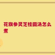 花旗参灵芝桂圆汤怎么煮