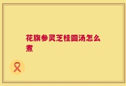 花旗参灵芝桂圆汤怎么煮