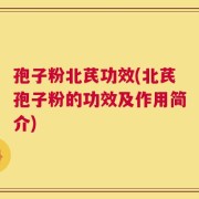 孢子粉北芪功效(北芪孢子粉的功效及作用简介)