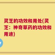 灵芝的功效和用处(灵芝：神奇草药的功效和用途)
