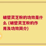 破壁灵芝粉的功效是什么 (破壁灵芝粉的作用及功效简介)