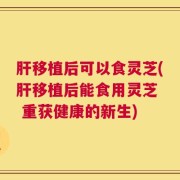 肝移植后可以食灵芝(肝移植后能食用灵芝  重获健康的新生)