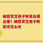 破壁灵芝孢子粉蛋白质含量？破壁灵芝孢子粉应该怎么吃