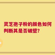 灵芝孢子粉的颜色如何判断其是否破壁？
