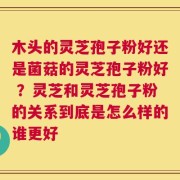 木头的灵芝孢子粉好还是菌菇的灵芝孢子粉好 ？灵芝和灵芝孢子粉的关系到底是怎么样的谁更好