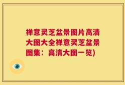 禅意灵芝盆景图片高清大图大全禅意灵芝盆景图集：高清大图一览)