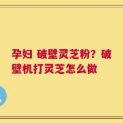 孕妇 破壁灵芝粉？破壁机打灵芝怎么做