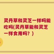 灵丹草和灵芝一样吗能吃吗(灵丹草能和灵芝一样食用吗？)