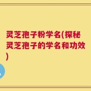 灵芝孢子粉学名(探秘灵芝孢子的学名和功效)