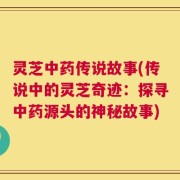 灵芝中药传说故事(传说中的灵芝奇迹：探寻中药源头的神秘故事)