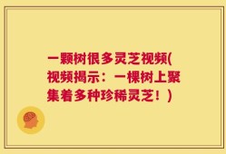 一颗树很多灵芝视频(视频揭示：一棵树上聚集着多种珍稀灵芝！)