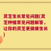 灵芝生长常见问题(灵芝种植常见问题解答，让你的灵芝更健康生长)