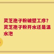 灵芝孢子粉破壁工序？灵芝孢子粉开水还是温水泡
