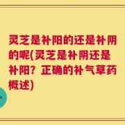 灵芝是补阳的还是补阴的呢(灵芝是补阴还是补阳？正确的补气草药概述)