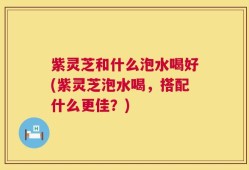 紫灵芝和什么泡水喝好(紫灵芝泡水喝，搭配什么更佳？)