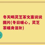 冬天喝灵芝茶文案说说图片(冬日暖心，灵芝茶暖身滋补)
