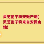 灵芝孢子粉安微产地(灵芝孢子粉来自安微山地)