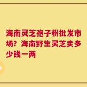 海南灵芝孢子粉批发市场？海南野生灵芝卖多少钱一两