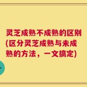 灵芝成熟不成熟的区别(区分灵芝成熟与未成熟的方法，一文搞定)