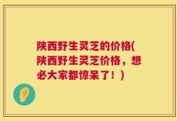 陕西野生灵芝的价格(陕西野生灵芝价格，想必大家都惊呆了！)