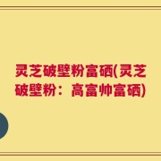 灵芝破壁粉富硒(灵芝破壁粉：高富帅富硒)