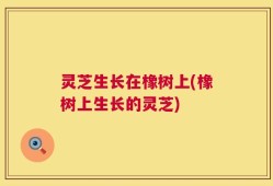 灵芝生长在橡树上(橡树上生长的灵芝)
