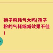 孢子粉耗气大吗(孢子粉的气耗缩减效果不佳)