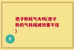 孢子粉耗气大吗(孢子粉的气耗缩减效果不佳)