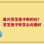 嘉兴灵芝孢子粉的吃？灵芝孢子粉怎么吃最好