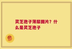 灵芝孢子薄层图片？什么是灵芝孢子