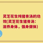 灵芝花生炖猪骨汤的功效(灵芝花生猪骨汤：滋养身体，强身健体)